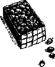Что я видел (сборник) (с илл.) i_132.png