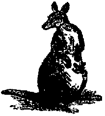 Что я видел (сборник) (с илл.) i_138.png