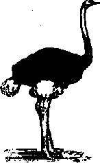 Что я видел (сборник) (с илл.) i_139.png