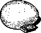 Что я видел (сборник) (с илл.) i_140.png