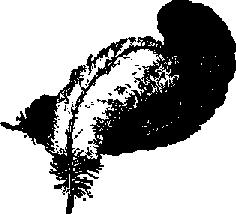 Что я видел (сборник) (с илл.) i_141.png
