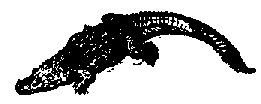 Что я видел (сборник) (с илл.) i_143.png
