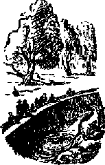 Что я видел (сборник) (с илл.) i_144.png