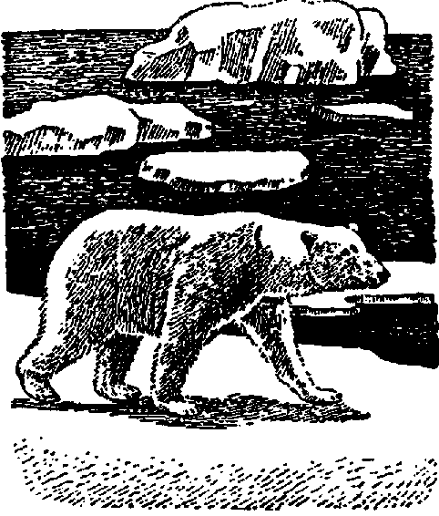 Что я видел (сборник) (с илл.) i_146.png