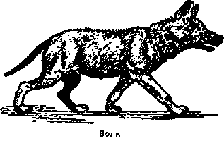 Что я видел (сборник) (с илл.) i_148.png