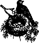 Что я видел (сборник) (с илл.) i_153.png