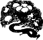 Что я видел (сборник) (с илл.) i_154.png