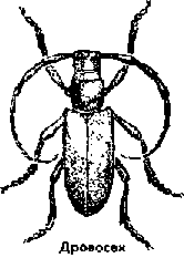 Что я видел (сборник) (с илл.) i_156.png