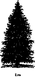 Что я видел (сборник) (с илл.) i_176.png