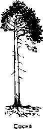 Что я видел (сборник) (с илл.) i_177.png