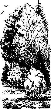 Что я видел (сборник) (с илл.) i_178.png