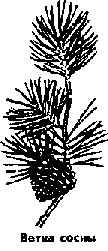 Что я видел (сборник) (с илл.) i_179.png