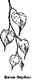 Что я видел (сборник) (с илл.) i_180.png