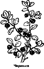 Что я видел (сборник) (с илл.) i_182.png