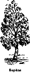 Что я видел (сборник) (с илл.) i_183.png
