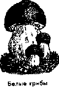 Что я видел (сборник) (с илл.) i_184.png