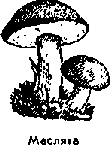 Что я видел (сборник) (с илл.) i_185.png