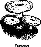 Что я видел (сборник) (с илл.) i_186.png