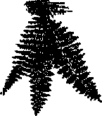 Что я видел (сборник) (с илл.) i_187.png