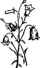 Что я видел (сборник) (с илл.) i_188.png