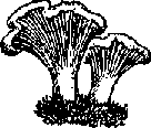 Что я видел (сборник) (с илл.) i_189.png