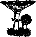 Что я видел (сборник) (с илл.) i_190.png