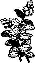 Что я видел (сборник) (с илл.) i_195.png