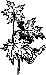 Что я видел (сборник) (с илл.) i_196.png