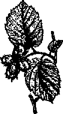 Что я видел (сборник) (с илл.) i_198.png