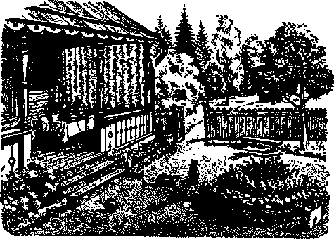 Что я видел (сборник) (с илл.) i_199.png