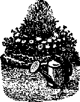 Что я видел (сборник) (с илл.) i_200.png
