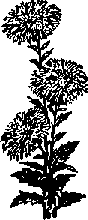 Что я видел (сборник) (с илл.) i_202.png