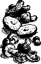 Что я видел (сборник) (с илл.) i_204.png