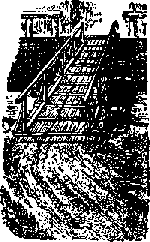 Что я видел (сборник) (с илл.) i_205.png