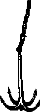 Что я видел (сборник) (с илл.) i_222.png