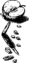 Что я видел (сборник) (с илл.) i_266.png