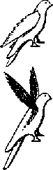 Что я видел (сборник) (с илл.) i_272.png