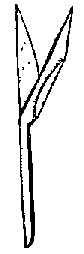 Что я видел (сборник) (с илл.) i_273.png