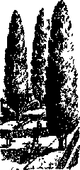 Что я видел (сборник) (с илл.) i_287.png