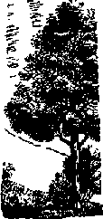 Что я видел (сборник) (с илл.) i_289.png