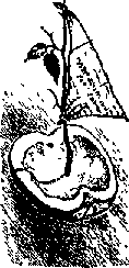 Что я видел (сборник) (с илл.) i_291.png