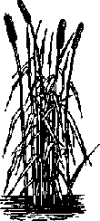 Что я видел (сборник) (с илл.) i_292.png