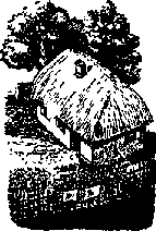 Что я видел (сборник) (с илл.) i_293.png