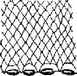Что я видел (сборник) (с илл.) i_296.png
