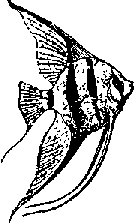 Что я видел (сборник) (с илл.) i_302.png