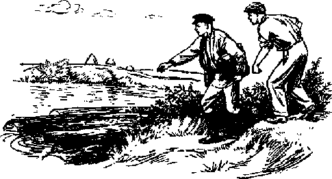 Что я видел (сборник) (с илл.) i_004.png