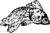 Что я видел (сборник) (с илл.) i_303.png