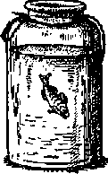 Что я видел (сборник) (с илл.) i_304.png
