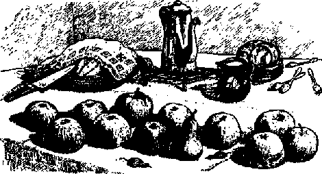 Что я видел (сборник) (с илл.) i_305.png