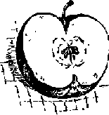 Что я видел (сборник) (с илл.) i_308.png
